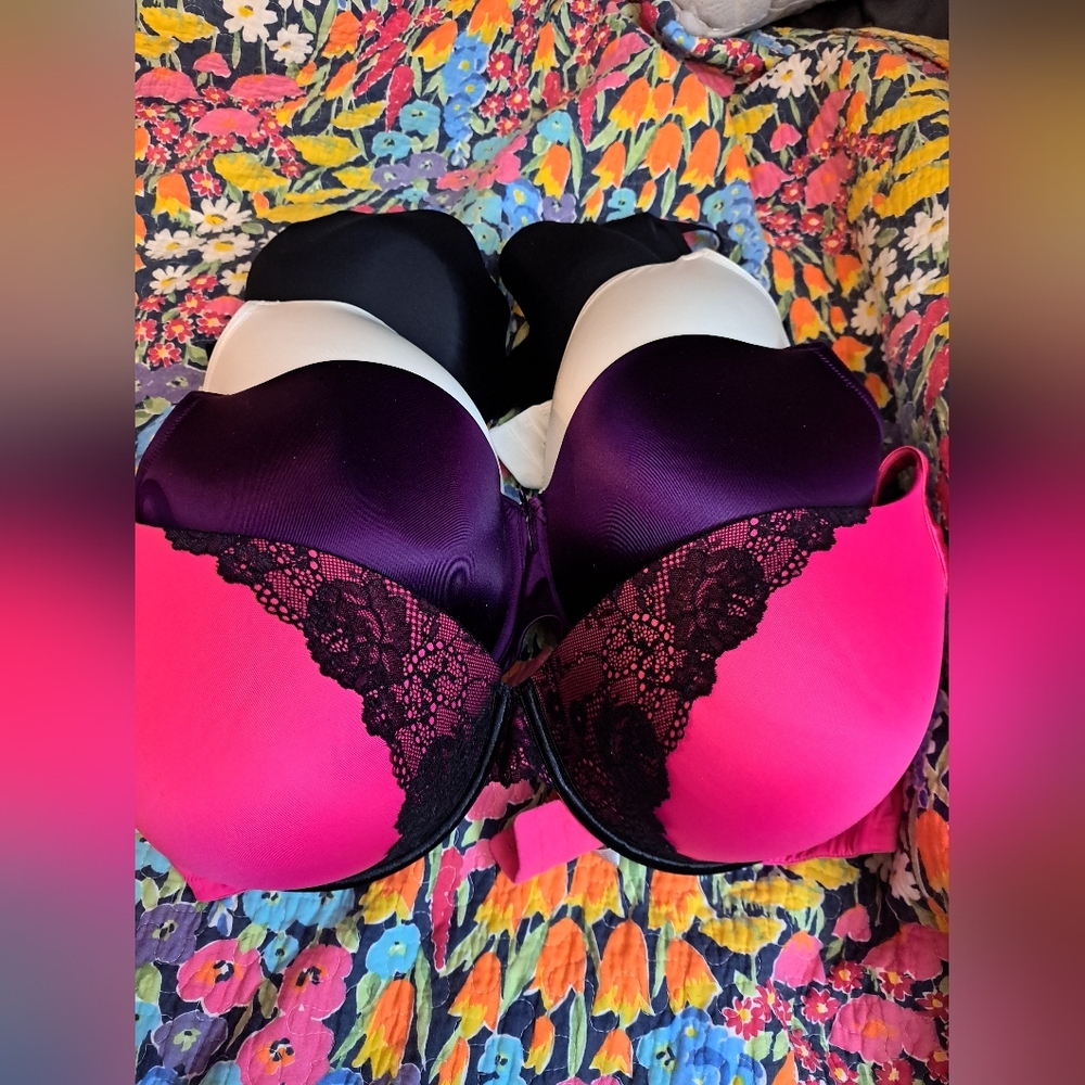 Cacique Pink and Purple Lace Trim Bras Intimates & Sleepwear